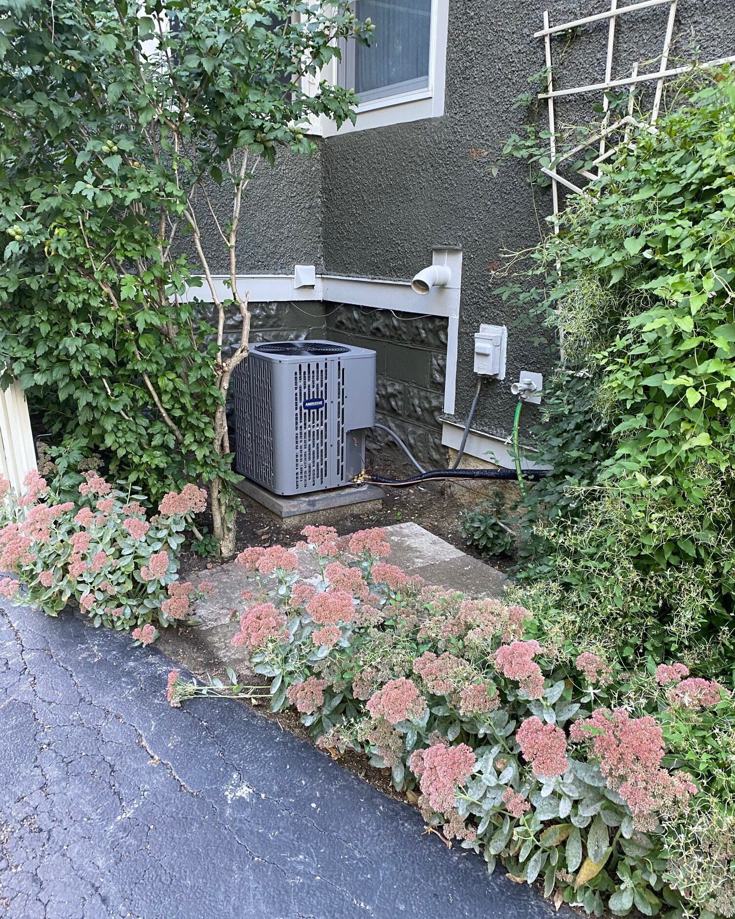 A residential AC condensing unit outside with greenery surrounding it.